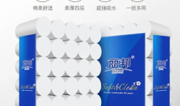 丽邦卫生纸,呵护健康，引领品质生活新潮流